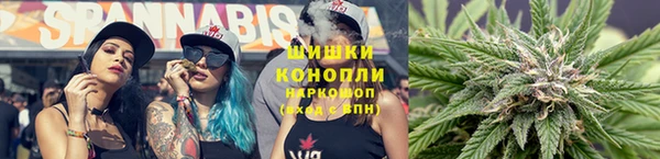 спайс Богданович