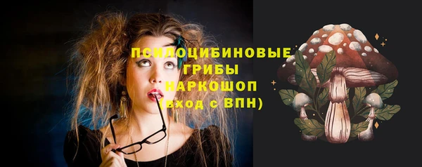 спайс Богданович