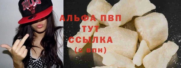 спайс Богданович