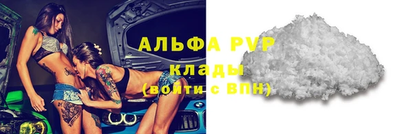 шишки Белоозёрский