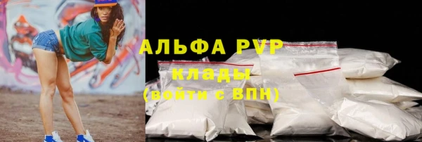 спайс Богданович