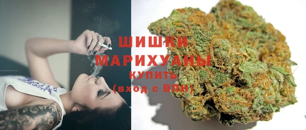 шишки Белоозёрский